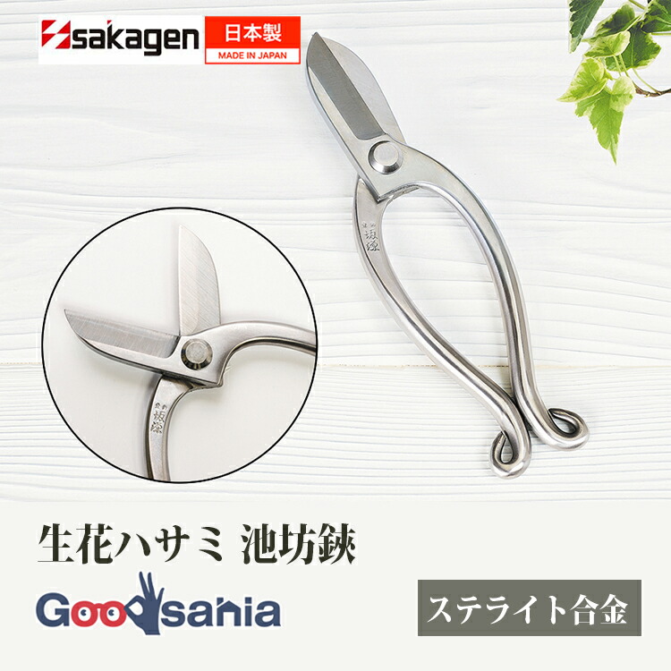 鶴亀園特集