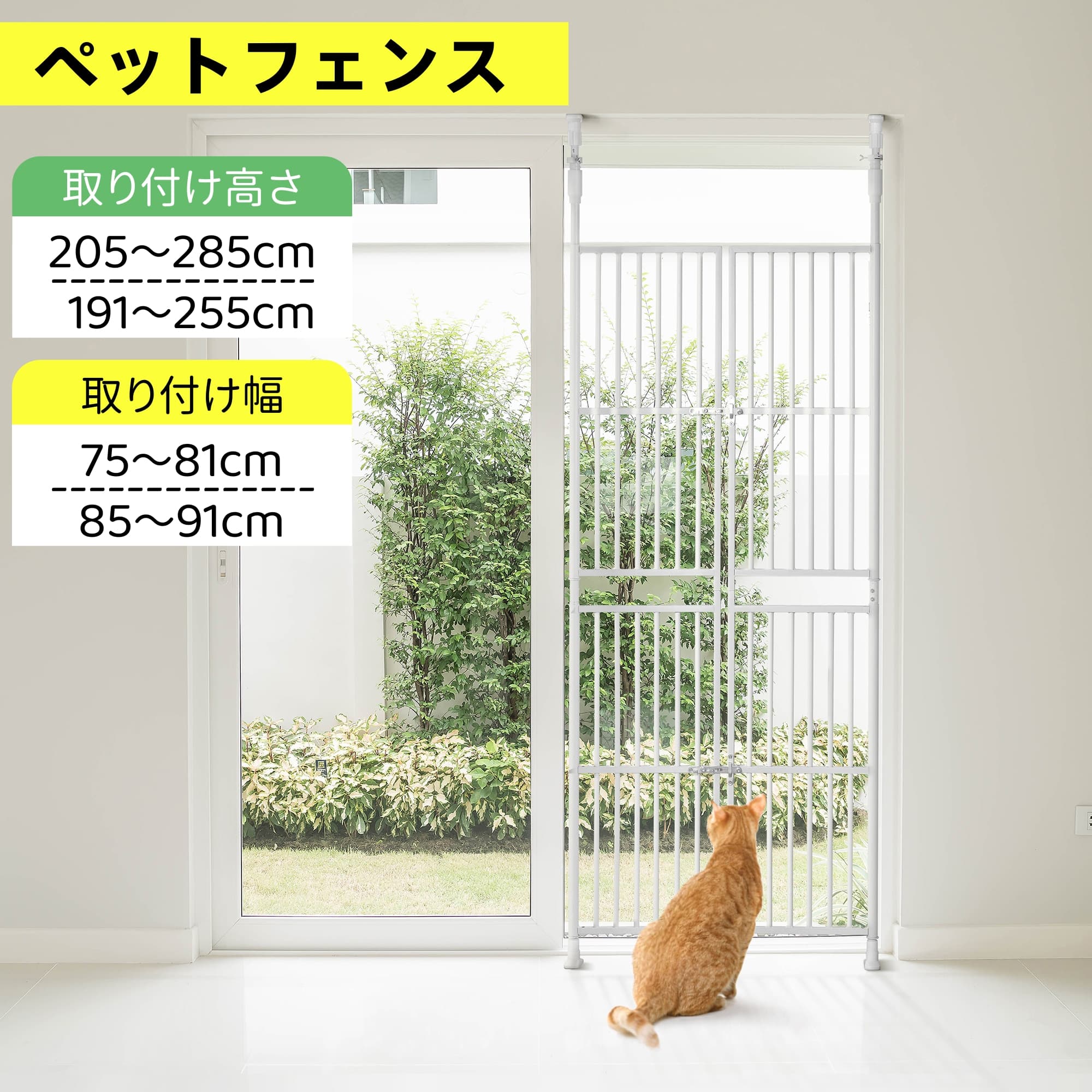 売れ筋 最短翌日お届け M6YRA8MGWGD [M6YRA8MGWGD]
