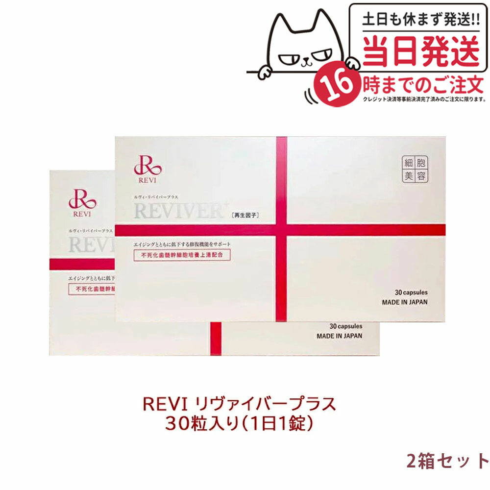 楽天市場】【賞味期限2027年 2箱セット】ルヴィ リヴァイバー
