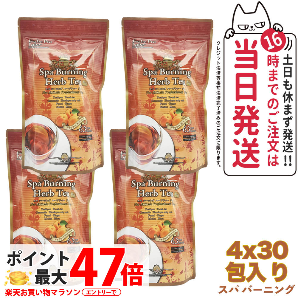 【4袋セット・賞味期限2027/03】エステプロラボ スパ バーニング ハーブティー プロ 3g×30 Esthe Pro Labo ダイエット スッキリ 天然素材 おいしい オーガニック ハーブティー 全国送料無料