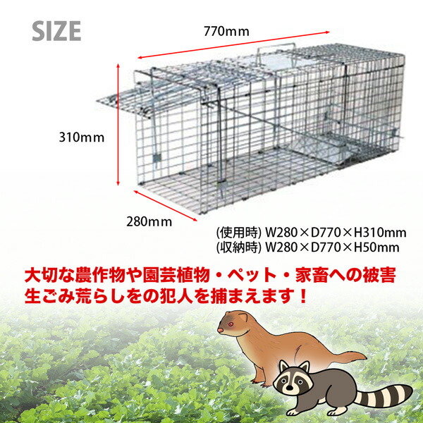 アイガーツール 折りたたみ式ジャンボ捕獲器 害獣捕獲 Oj 770 W280 D770 H310mm Umu Ac Ug
