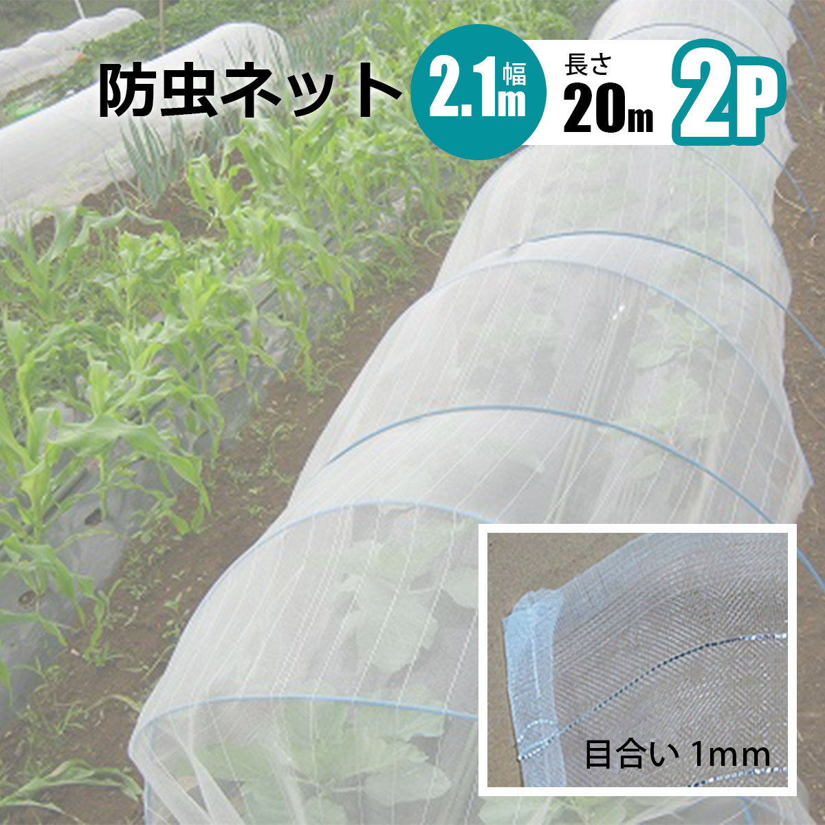 運動競技属具｜サーフゲーム盤 花・ガーデン・DIY-防虫ネット-被覆資材