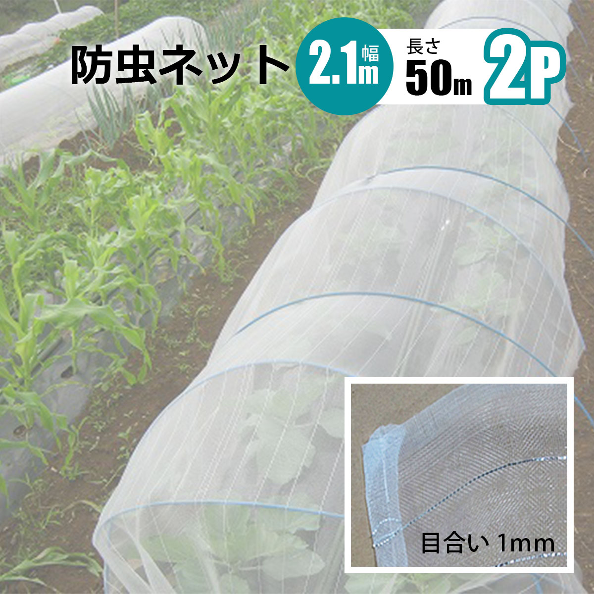 防虫ネット 1ｍｍ目 幅2.1m 長さ 50m 2本セット 農業資材 野菜 家庭菜園 虫よけ 防虫網 シンセイメーカー直送 法人宛基本送料無料