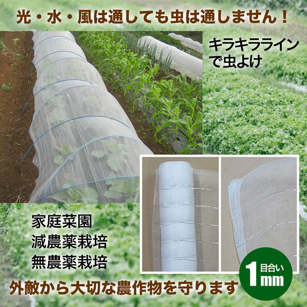 シンセイ 防虫サイバースペース 1 後先 1 35m 50m 2制作 農学マテリアル 蔬菜 所帯野菜畑 虫よけ 防虫陥穽 貨物輸送無料 Cannes Encheres Com