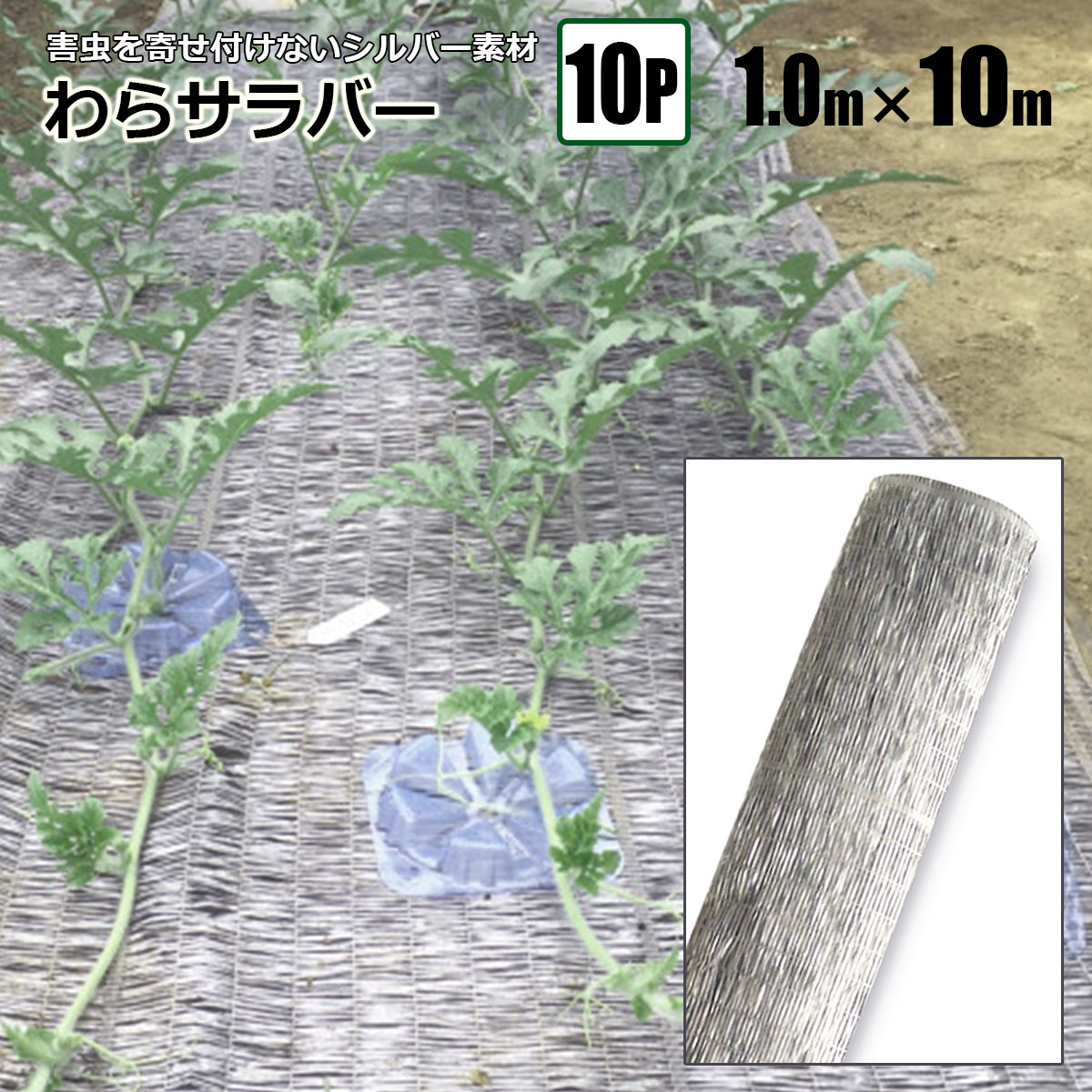 わらサラバー 1m×10m 10本組 シルバー 防虫効果 敷きわらの代わりに シンセイ メーカー直送 基本送料無料 10,544円