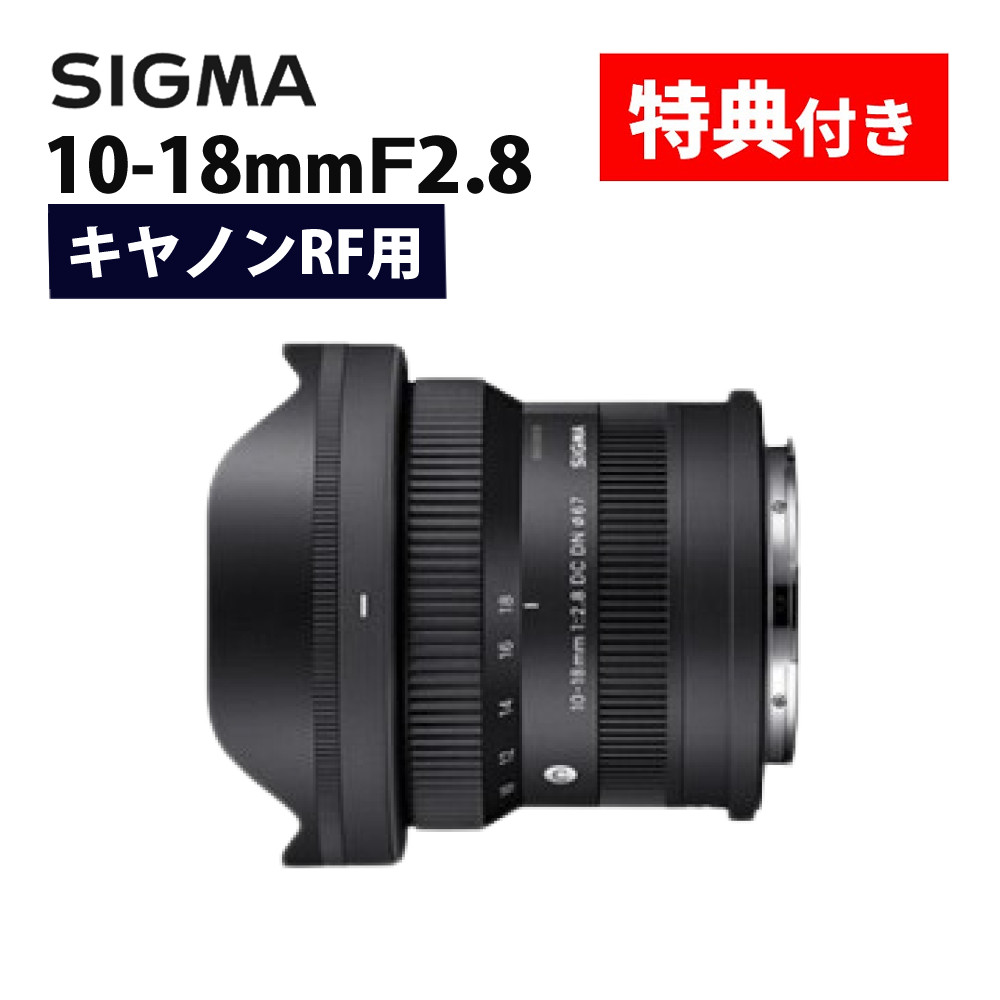 楽天市場】（レビューでレンズキャッププレゼント）【バッグ付き