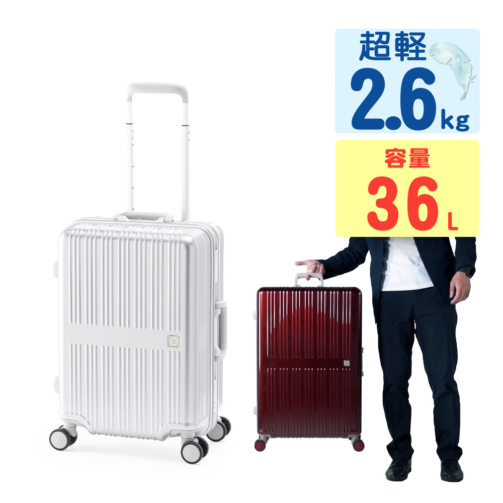 ALEXIA STAM アリシアスタン　ノベルティ　スーツケース　キャリーバッグ ALEXIA STAM アリシアスタン ノベルティ スーツケース キャリーバッグ