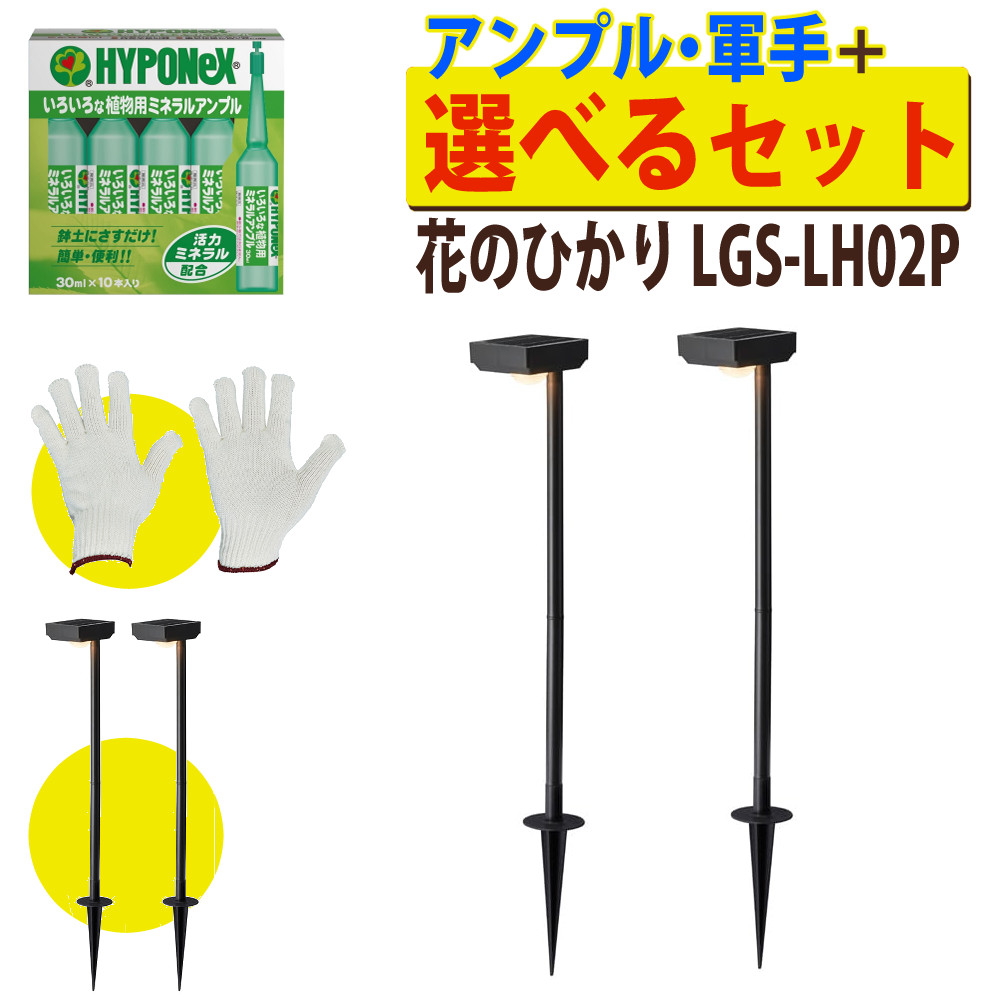 【3歳から聞き入れる！入園準備することに】幼稚園や保育園におすすめ！御姉さん向け背嚢