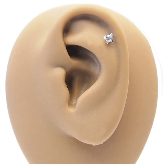 Homesliceproductions Body Piercing 14 G Tragus Internal Labret Stud My Can Of Body Piercing Custom