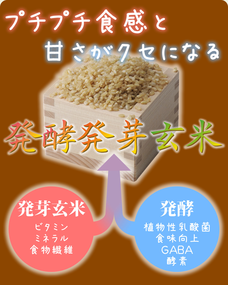 楽天市場 発酵発芽玄米 300g 玄米 無洗 米 送料無料 ビタミン ミネラル 食物繊維 植物性乳酸菌 Gaba 酵素 特許製法の発酵 効果 無添加国内産 植物性乳酸菌が玄米の約10万倍 岡山県産 曙米 を使用 Meru2 Dai Hommalab楽天市場店