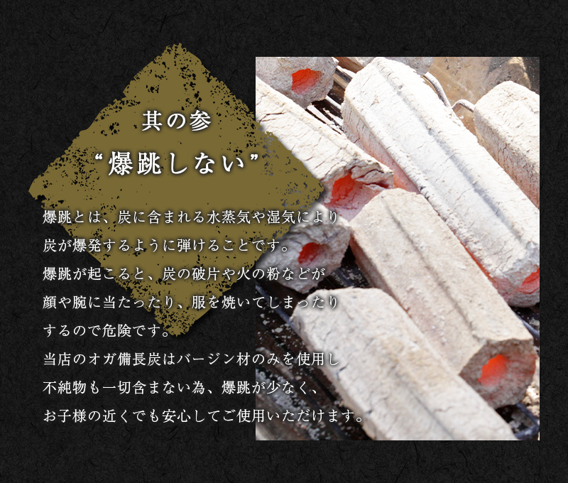 楽天市場 炭職人 オガ炭 10kg オガ備長炭 高火力 長時間燃焼 煙少 白炭 オガ備長炭 白炭 高品質オガ炭 納得の燃焼時間と火力 q お花見 キャンプ バーベキュー 薪ストーブ 節電 暖房 飲食店 業務用 Takumu Hommalab楽天市場店