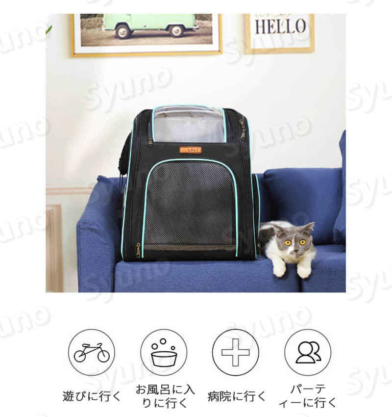 ペットお出かけバッグ ペットキャリー 透明 猫 バックパック 犬 グッズ 猫 グッズ ポータブル ダブルバック シングルショルダー ペット用 小型犬 グッズ ペット用品 お出かけ 移動時 旅行 帰省 外出 散歩 Sermus Es