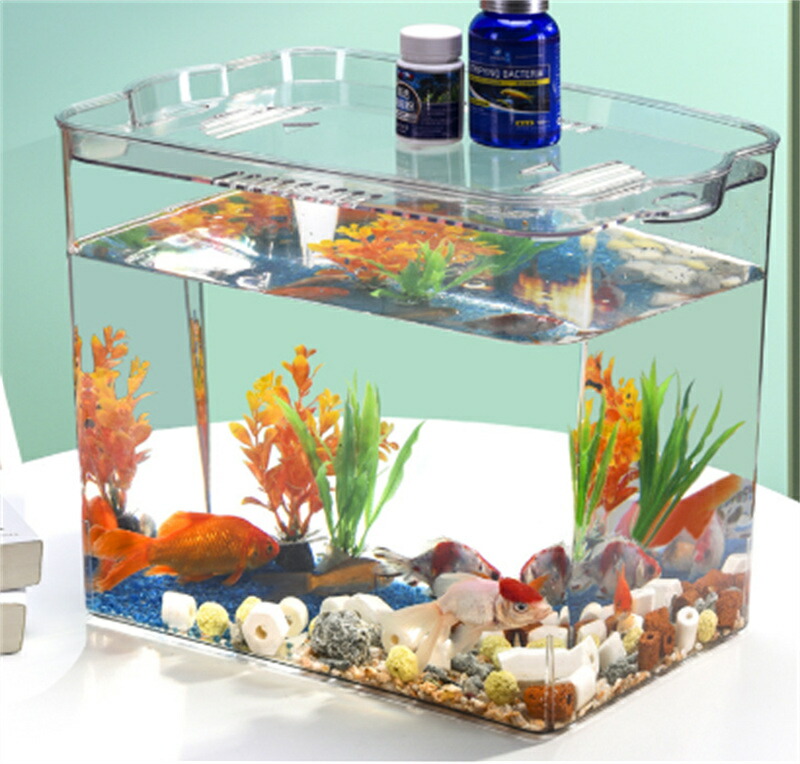 海洋博物館 金魚鉢 今めかしい 高澄み切った PET原料品 気が大きい大きさ/特大大きさ 卓上 澄み切った 鉢 鉢 一覧表 ハ虫類 蟹 生活様式 亀 金魚 お部屋 佩び物 執務室多役立つこと