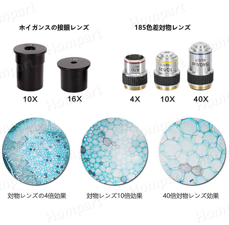 お子様 お孫さんのプレゼントに最適 学習用 顕微鏡 640倍 実験 知育 理科 生物顕微鏡と反射顕微鏡 子供の頃から科学への興味を育てる マイクロスコープ 子供用 小学生 中学生 高校生 初心者 自由研究 クリスマス 進学祝い 入学祝い 人気 おすすめ septicin Com
