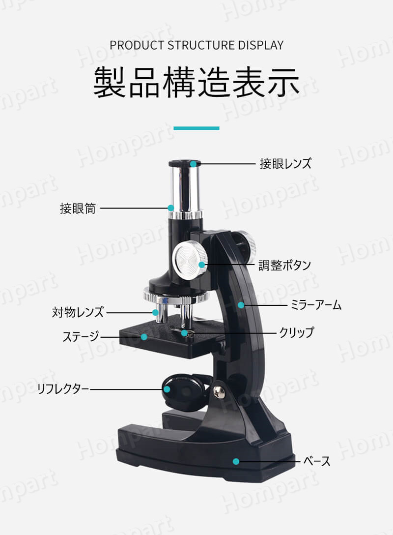 お子様 お孫さんのプレゼントに最適 学習用 450x 顕微鏡 実験 知育 理科 生物顕微鏡と反射顕微鏡 子供の頃から科学への興味を育てる マイクロスコープ 子供用 小学生 中学生 高校生 初心者 自由研究 クリスマス 進学祝い 入学祝い 人気 おすすめ Vmaphotographystudios Com