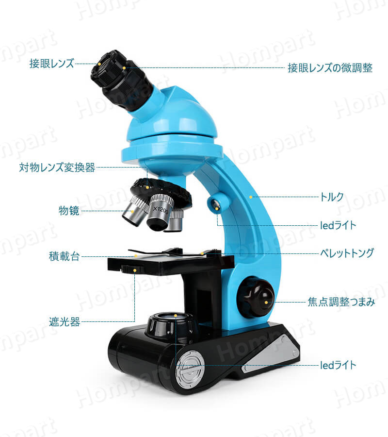 お子様 お孫さんのプレゼントに最適 学習用 10x 顕微鏡 実験 知育 理科 生物顕微鏡と反射顕微鏡 子供の頃から科学への興味を育てる マイクロスコープ 子供用 小学生 中学生 高校生 初心者 自由研究 クリスマス 進学祝い 入学祝い 人気 おすすめ Rvcconst Com