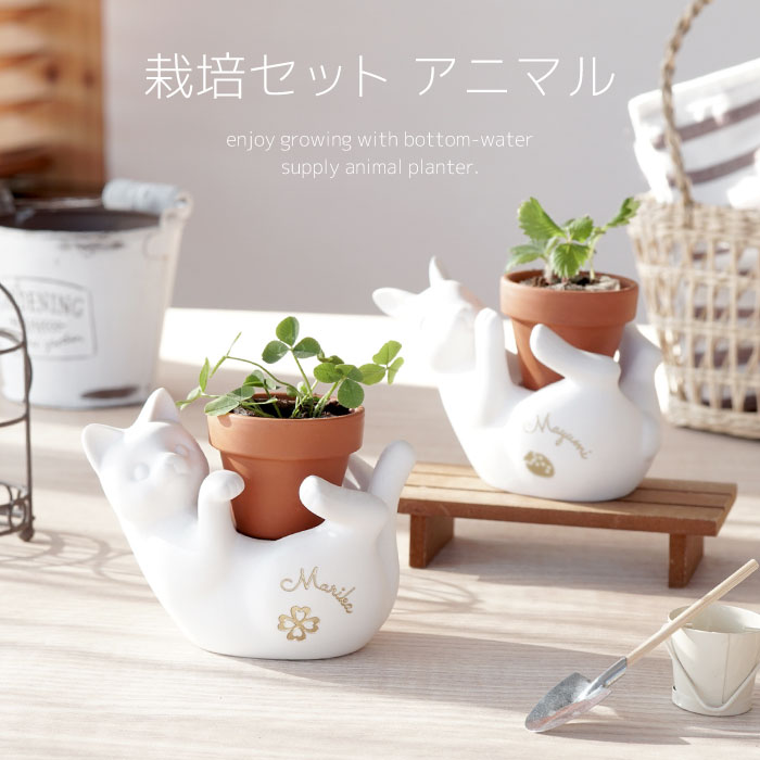 楽天市場 猫グッズ プレゼント 栽培キット かわいい 誕生日プレゼント 猫 好き 名入れ 名前入り 栽培セット アニマル 猫 雑貨 おしゃれ 観葉植物 ミニ 植物 花 インテリア 誕生日 女友達 ギフト 30代 退職祝い 女性 母 贈り物 彼女 ねこ ネコ