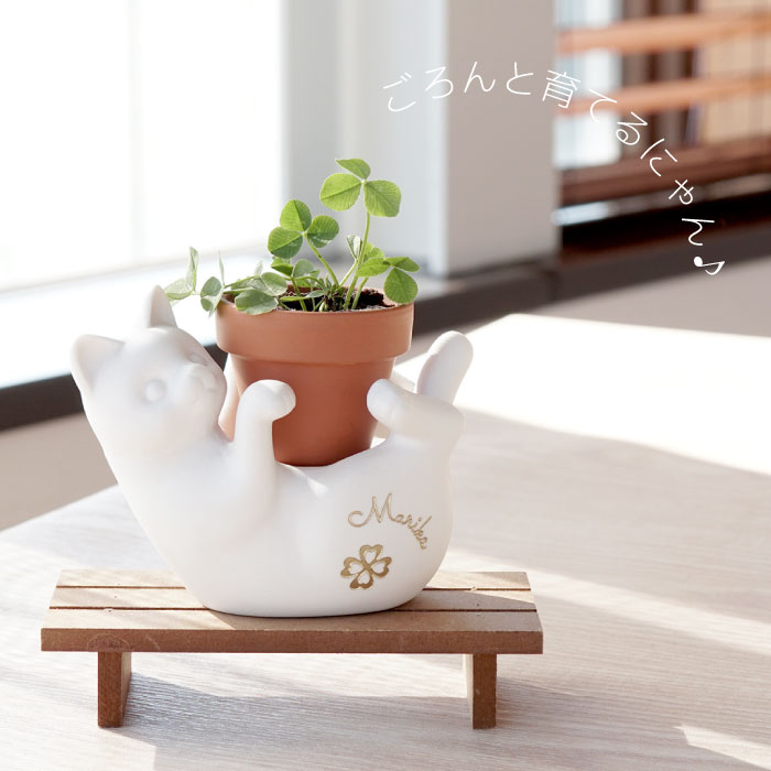 楽天市場 母の日 プレゼント 猫グッズ 栽培キット かわいい 誕生日プレゼント 猫 好き 名入れ 名前入り 栽培セット アニマル 猫 雑貨 おしゃれ 観葉植物 ミニ 植物 インテリア 誕生日 女友達 ギフト 30代 退職祝い 女性 母 贈り物 彼女 ねこ ネコ
