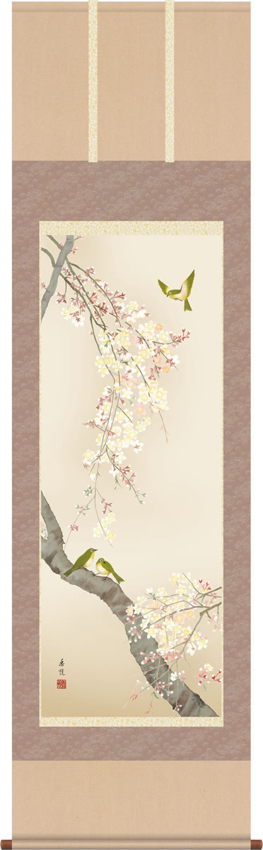 春掛 掛け軸-桜花/西尾香悦(尺五)床の間 和室 モダン オシャレ 高級 ギフト かけじく 表装 壁掛け つるす daily-1