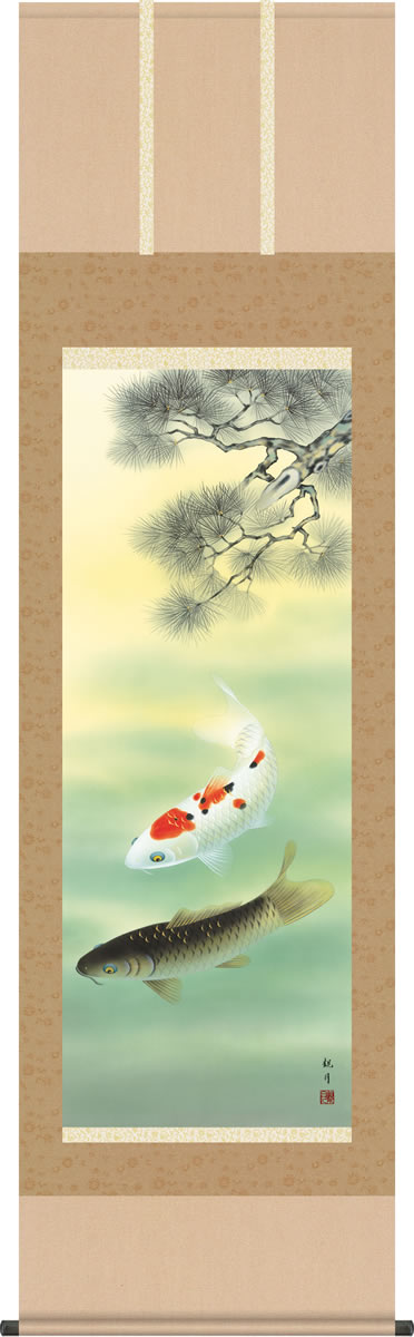 端午の節句画掛軸-松下遊鯉/森山観月(尺五)床の間 和室 高級 掛け軸 人気 お祝い 祭り モダン オシャレ 吊るす 鯉の絵[送料無料]