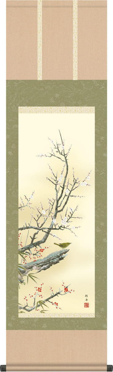 掛軸 掛け軸-紅白梅に鶯/長江桂舟(尺三)小さい床の間 和室 モダン お洒落 日本製 ギフト 表装 壁飾り 四季 花鳥画 かけじく[送料無料]