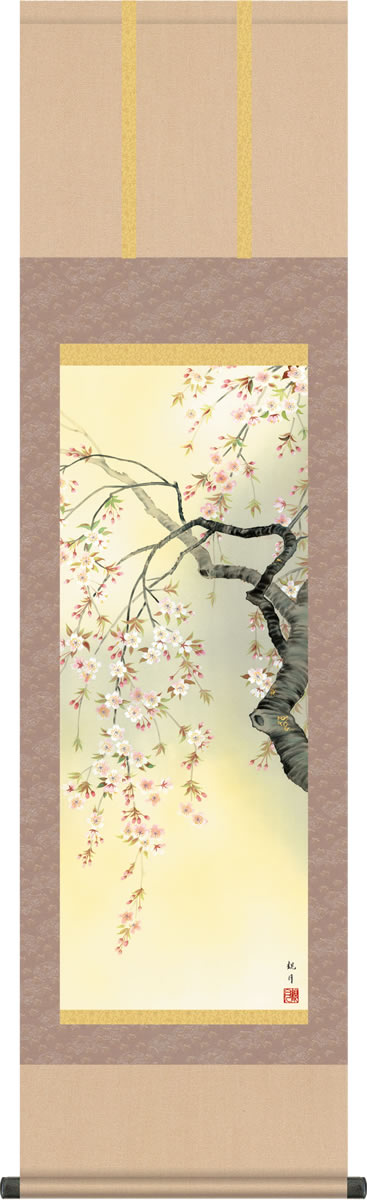 掛軸 掛け軸-桜花爛漫/森山観月(尺三)小さい床の間 和室 モダン お洒落 日本製 ギフト 表装 壁飾り 四季 花鳥画 かけじく[送料無料]
