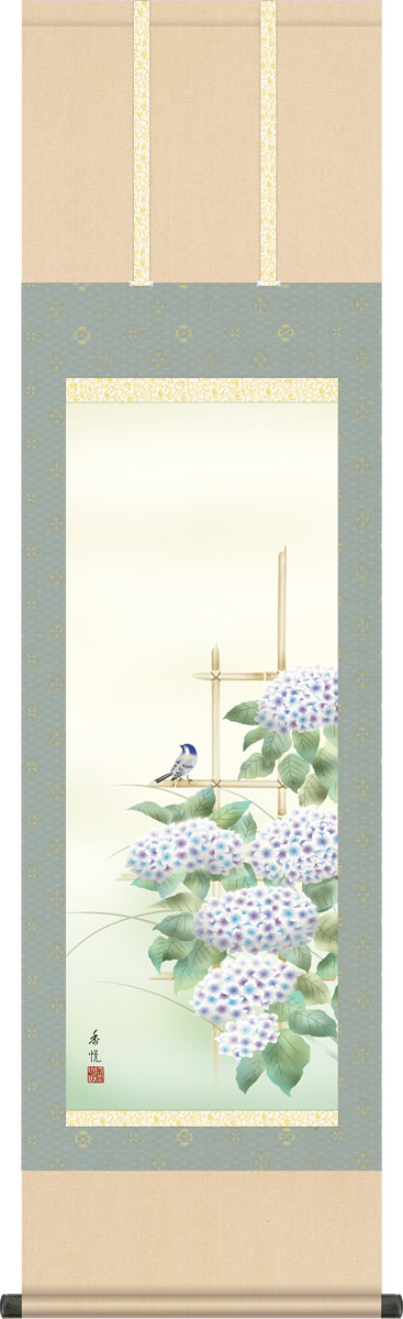 夏の掛け軸 紫陽花 西尾香悦 尺三 小振り 本表装 床の間 花鳥画 モダン 掛軸[送料無料] ギフト 贈り物[幅44.5cm×高さ164cm]