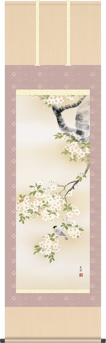 春掛け 掛け軸 桜花に小鳥 近藤玄澄 尺五 本表装 床の間 花鳥画 モダン 掛軸[送料無料]ギフト 贈り物[幅54.5cm×高さ190cm]