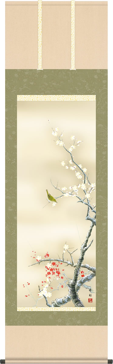 春掛け 掛け軸 紅白梅に鶯 園田峰彩 尺五 本表装 床の間 花鳥画 モダン 掛軸[送料無料]ギフト 贈り物[幅54.5cm×高さ190cm]