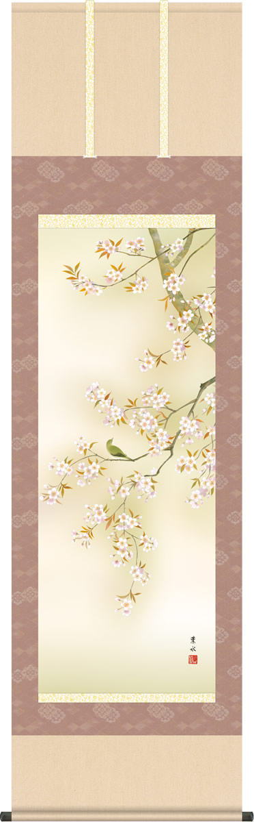 春の掛け軸 桜花に小鳥 緒方葉水 尺五 本表装 床の間 花鳥画 モダン 掛軸[送料無料] ギフト 贈り物[幅54.5cm×高さ190cm]
