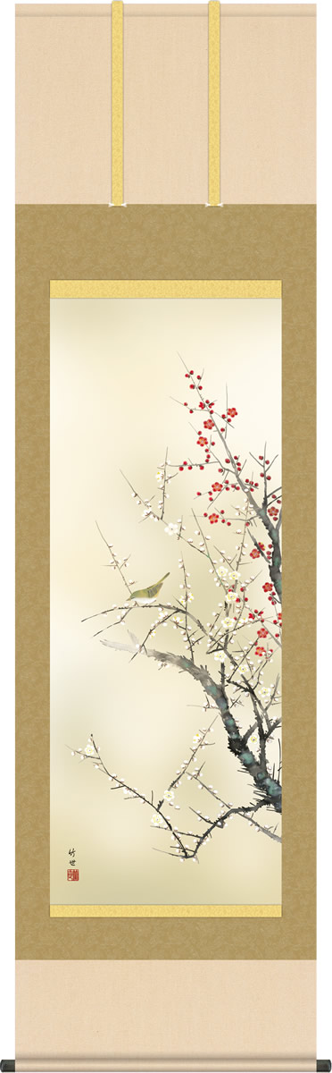 春の掛け軸 紅白梅に鶯 田村竹世 尺五 本表装 床の間 花鳥画 モダン 掛軸[送料無料] ギフト 贈り物[幅54.5cm×高さ190cm]