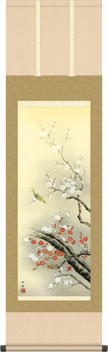 春掛け 掛け軸 紅白梅に鶯 田村竹世 尺三 小振り 本表装 床の間 花鳥画 モダン 掛軸[送料無料] ギフト 贈り物[幅44.5cm×高さ164cm]