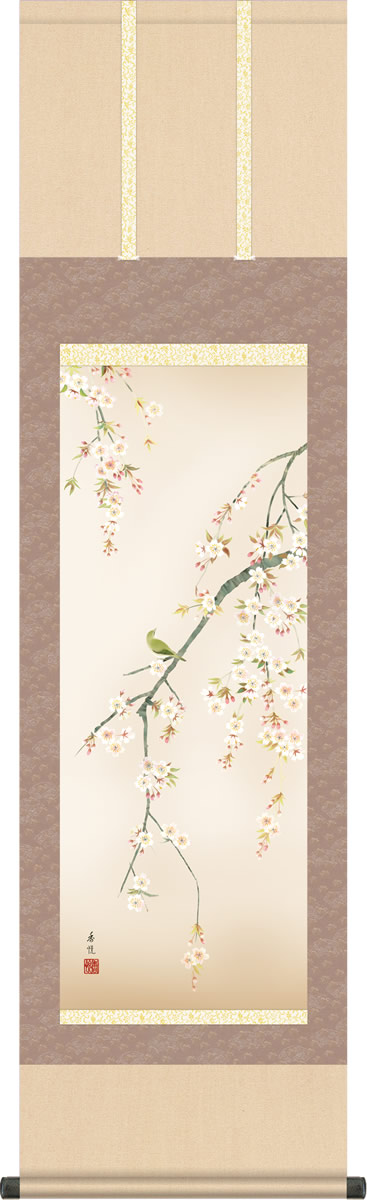 春掛け 掛け軸 桜花 西尾香悦 尺三 小振り 本表装 床の間 花鳥画 モダン 掛軸[送料無料] ギフト 贈り物[幅44.5cm×高さ164cm]