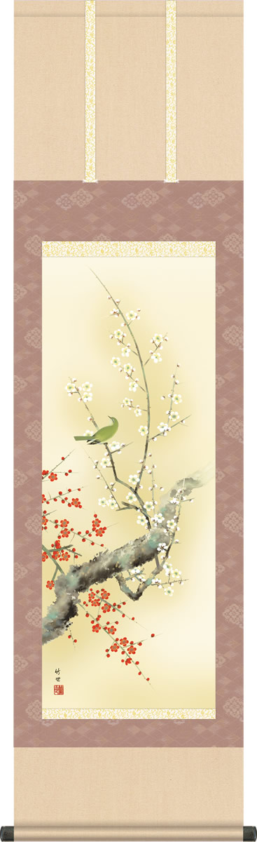 春掛け 掛け軸 紅白梅に鶯 田村竹世 尺三 小振り 本表装 床の間 花鳥画 モダン 掛軸[送料無料] ギフト 贈り物[幅44.5cm×高さ164cm]