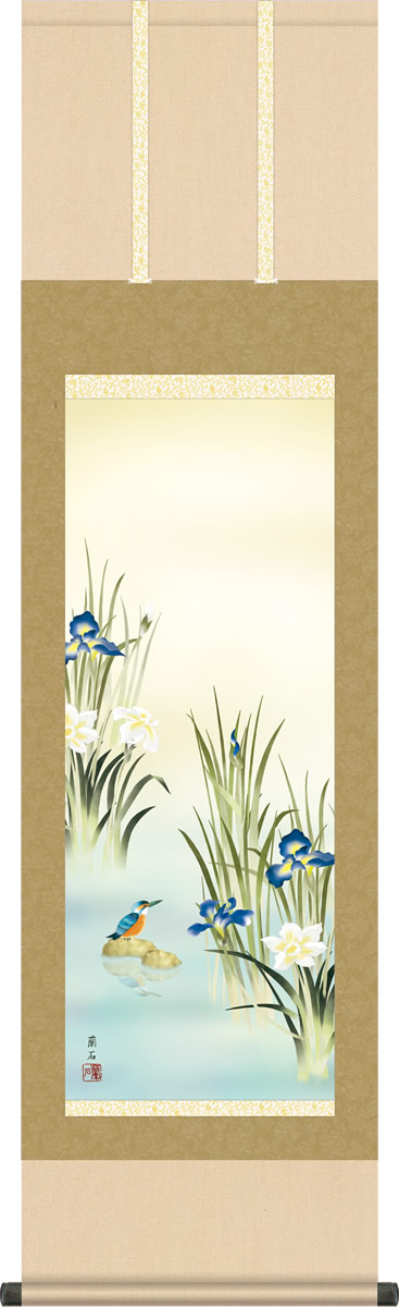 夏掛け 掛け軸 菖蒲にかわせみ 高見蘭石 尺三 小振り 本表装 床の間 花鳥画 モダン 掛軸[送料無料] ギフト 贈り物[幅44.5cm×高さ164cm]
