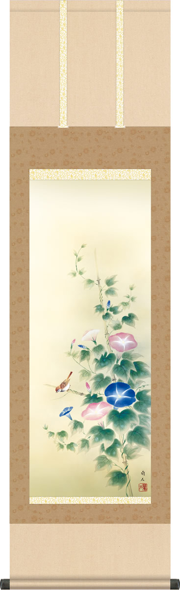 夏掛け 掛け軸 朝顔 高見蘭石 尺三 小振り 本表装 床の間 花鳥画 モダン 掛軸[送料無料] ギフト 贈り物[幅44.5cm×高さ164cm]