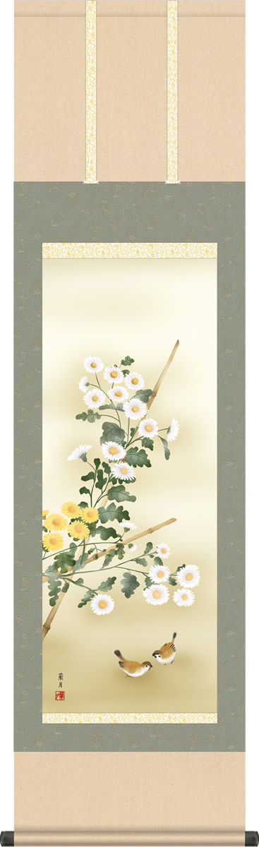 秋掛け 掛け軸 菊花 吉井蘭月 尺三 小振り 本表装 床の間 花鳥画 モダン 掛軸[送料無料] ギフト 贈り物[幅44.5cm×高さ164cm]