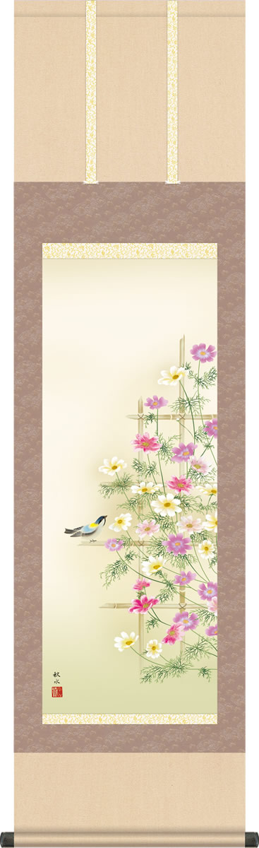 秋掛け 掛け軸 秋桜 浮田秋水 尺三 小振り 本表装 床の間 花鳥画 モダン 掛軸[送料無料] ギフト 贈り物[幅44.5cm×高さ164cm]