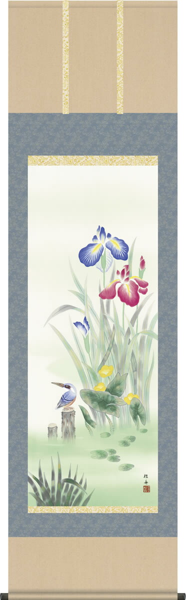 掛け軸-菖蒲にかわせみ／長江桂舟（尺五 桐箱）花鳥画掛軸 [送料無料]