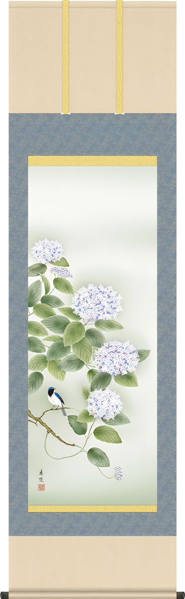 掛け軸 紫陽花 西尾香悦 尺五 本表装 花鳥画 床の間 モダン 和室 あじさい 夏