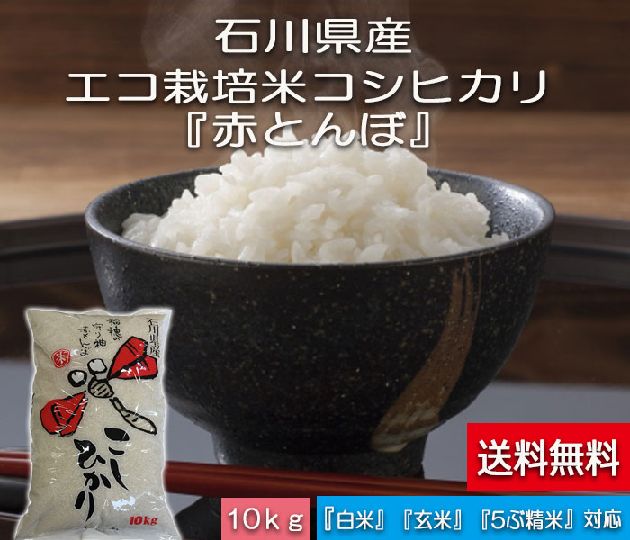 ポイント10倍 楽天市場 お米 10kg 送料無料 コメ こめ コシヒカリ 白米 加賀百万石 赤とんぼ米 こしひかり 令和2年産 新米 石川県産 減農薬 ほんだ農場楽天市場店 公式 Blog Belasartes Br ポイント10倍 楽天市場 お米 10kg 送料無料 コメ こめ コシヒカリ 白米 加賀百万石 赤とんぼ米 こしひかり 令和2年産 新米 石川県産 減農薬 ほんだ農場楽天市場店 公式 Blog Belasartes Br