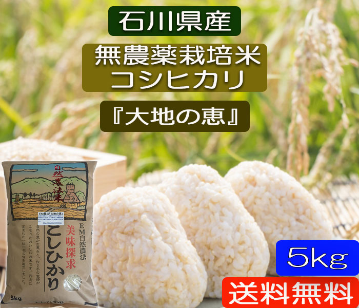 お米 5kg 無農薬 白米 玄米 5分づき精米 大地の恵み EM農法 無農薬栽培米 安心安全 コシヒカリ 令和4年産 新米 石川県産  5分づき精米からお選びください 【楽天市場】
