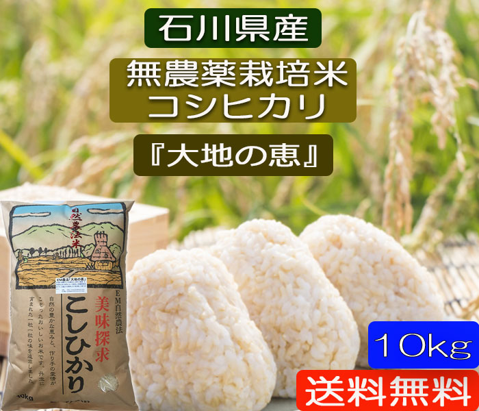 令和4年新米石川県産 コシヒカリ無農薬有機栽培のお米 コシヒカリ 玄米