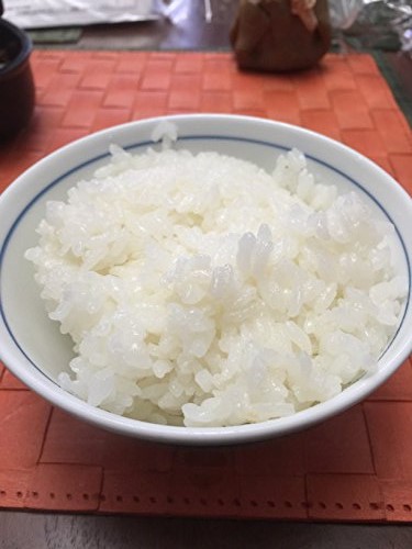 【楽天市場】お米 【送料無料】 2kg 無農薬 白米 玄米 5分づき精米 からお選びください。 「水の精」 コシヒカリ 令和元年産 新米 EM