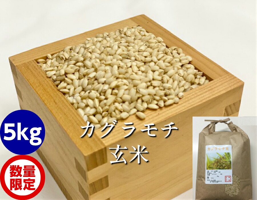 令和7年産 カグラもち 玄米 5kg 石川県産 神楽由来の最高級もち米 特別栽培米 玄米 赤飯 おこわ 炊き込みご飯用 送料無料