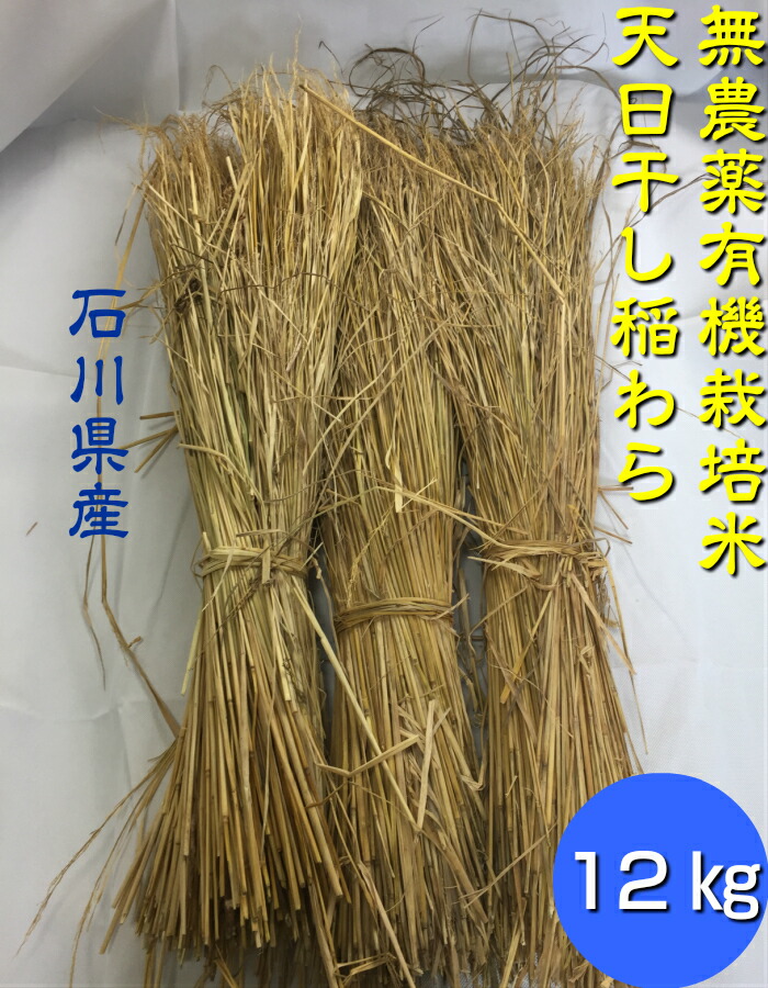 wara-12kg-2.jpg