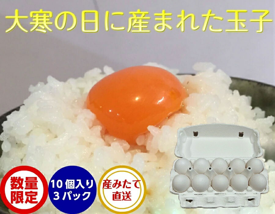 楽天市場】【送料無料】たまご MSサイズ 白玉 10kg 1箱 約180個前後 卵