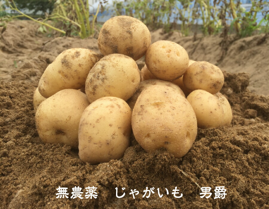 munouyaku-danshaku.jpg