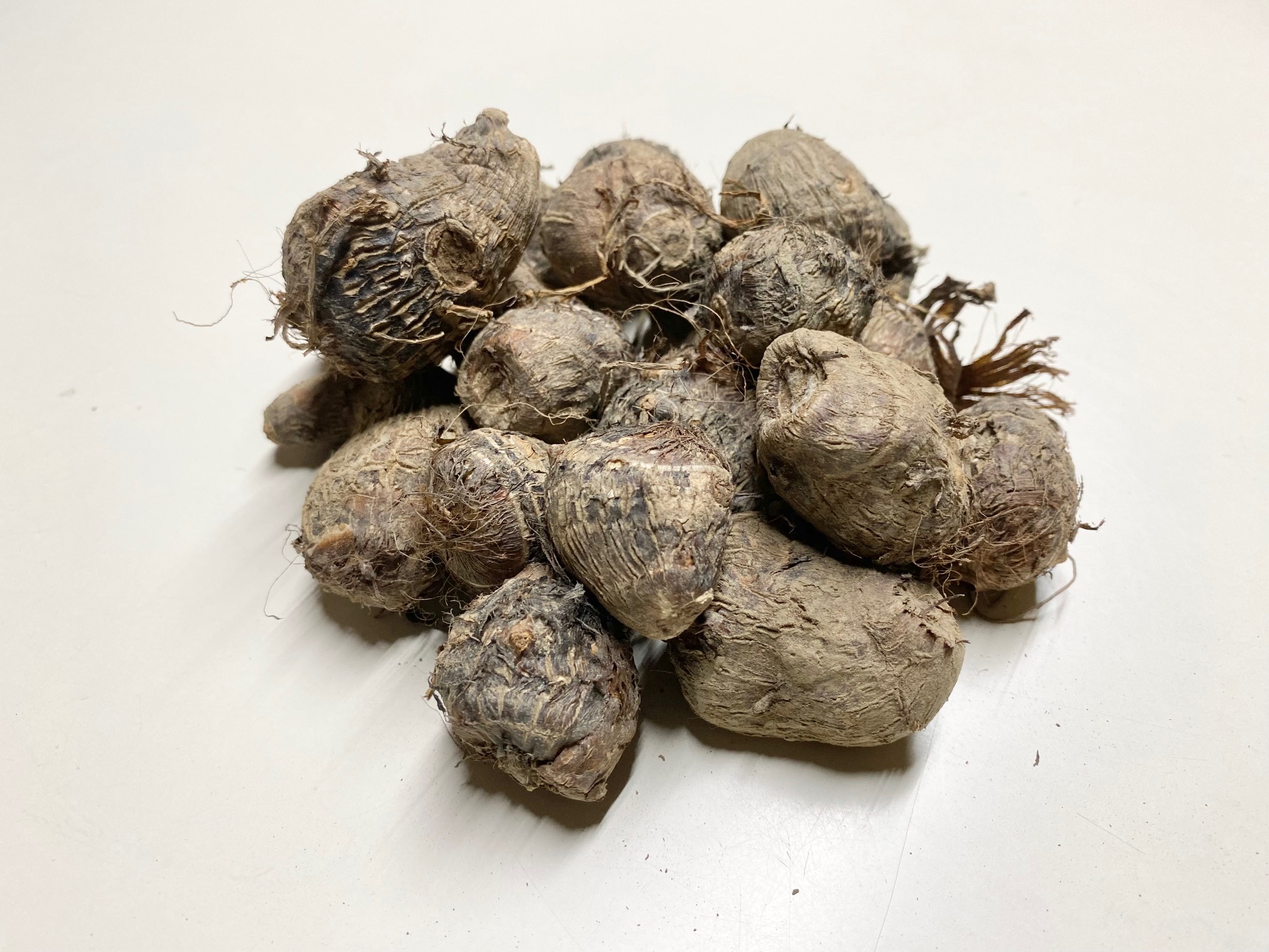 【送料無料】無農薬・ＪＡＳ有機栽培 里芋「サトイモ」【超小粒】10kg(送料：北海道,沖縄以外0円) 8,250円