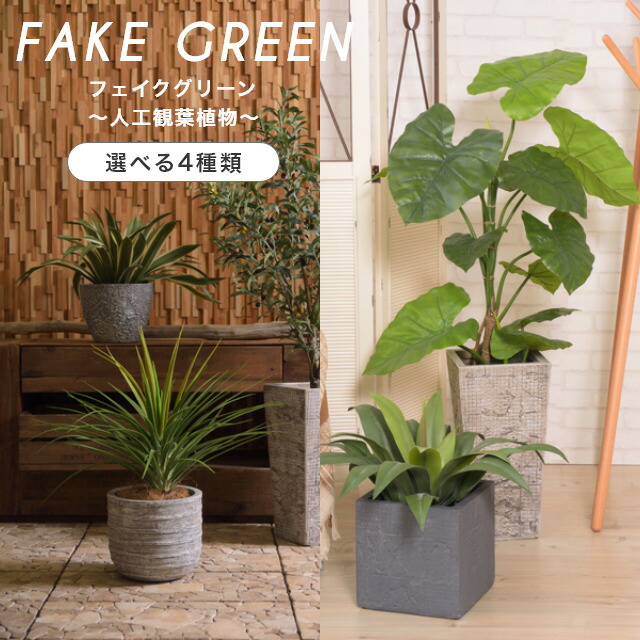 楽天市場 人工観葉植物 フェイクグリーン 観葉植物 造花 手軽にお部屋に緑を フェイクグリーン モンステラ ミニパイナップル アガベ おしゃれ 水やり不要 ギフト お祝い 新築祝い 誕生日 結婚祝 大型 小型 インテリア リビング 室内 模様替えオフィス 店舗 人工観葉